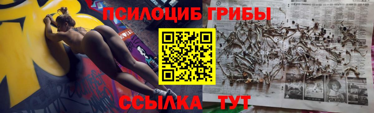 Псилоцибиновые грибы прущие грибы Серпухов